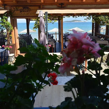 Olympic Олимпиада