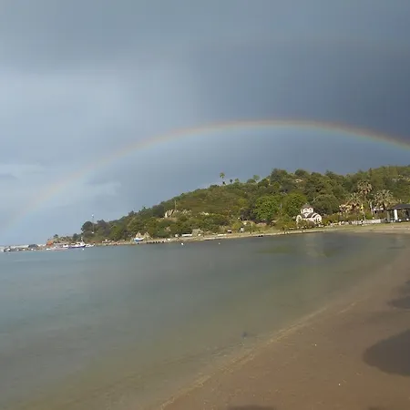 Olympic 2* Olympiada