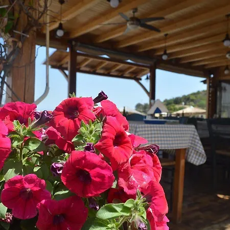 Olympic 2* Olympiada