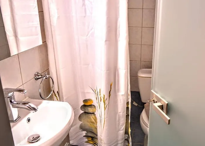 奥林匹克酒店 酒店