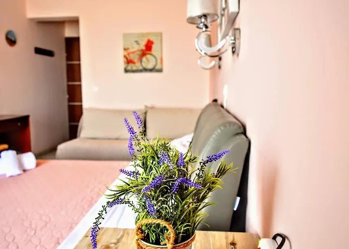 酒店 奥林匹克酒店 奥林匹亚达