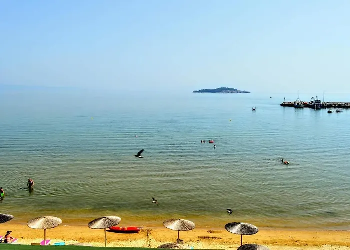 奥林匹克酒店 酒店 2*