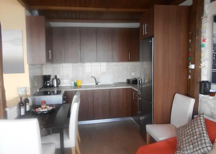 奥林匹克酒店 酒店