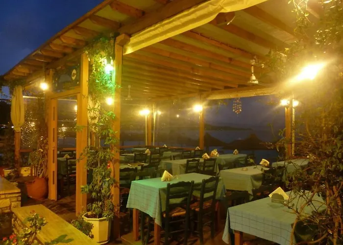 酒店 奥林匹克酒店 2*