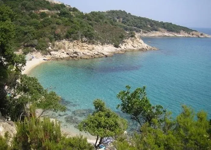 奥林匹克酒店 酒店