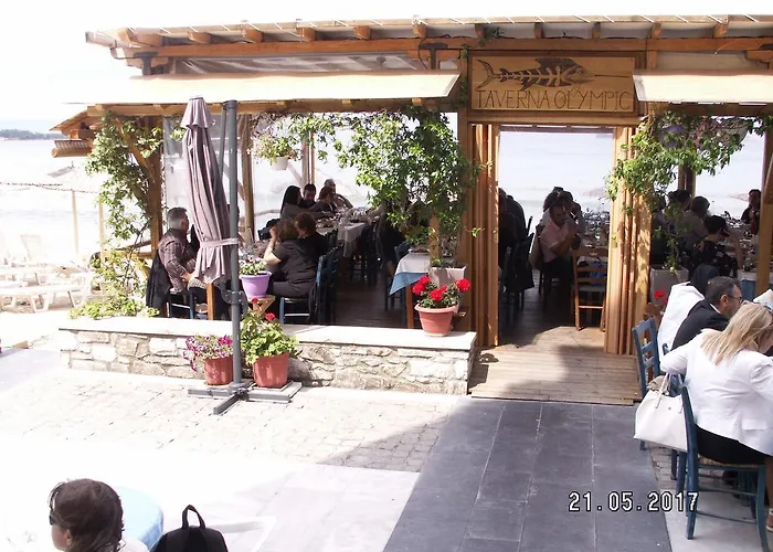 酒店 奥林匹克酒店 2*