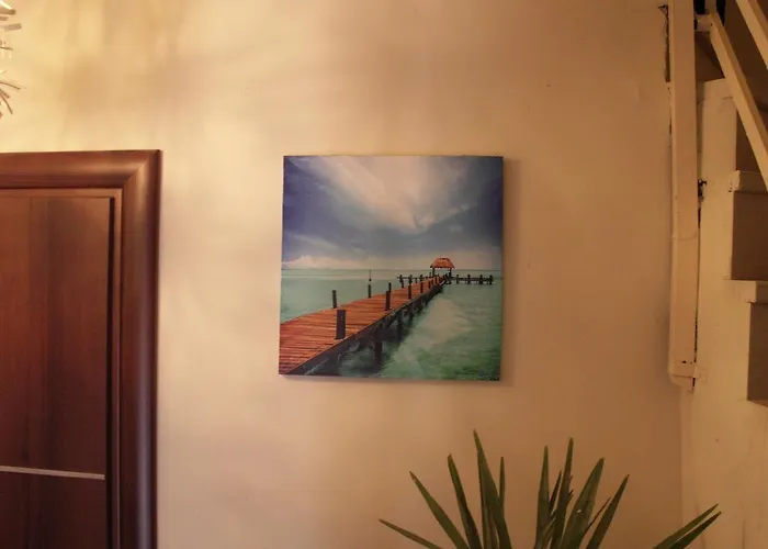 酒店 奥林匹克酒店