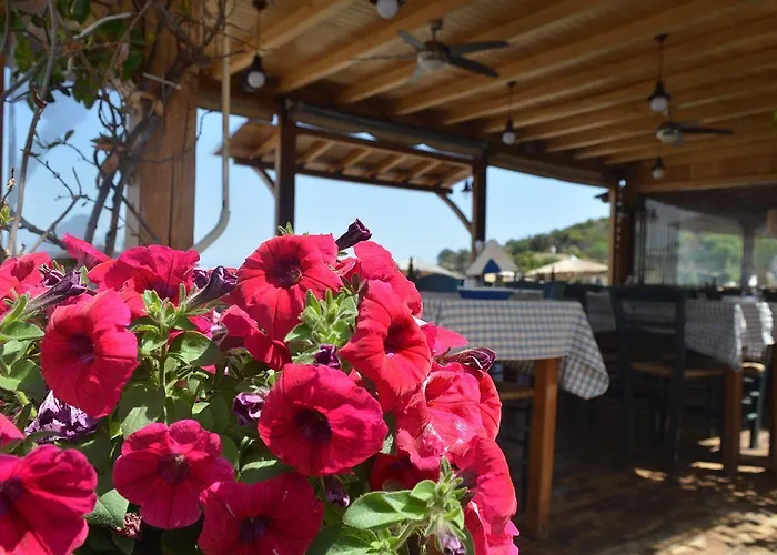 奥林匹克酒店 2* 奥林匹亚达