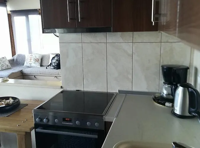 酒店 奥林匹克酒店