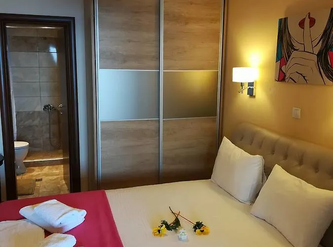 奥林匹克酒店 酒店 2*