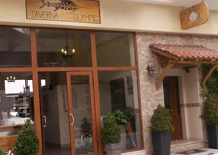 酒店 奥林匹克酒店 2*